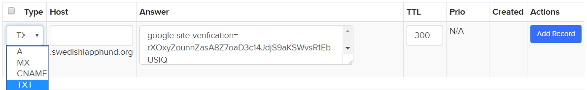 adding-a-txt-record-dns-domains-faqs-name