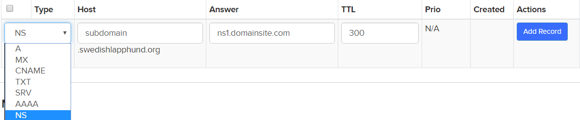 adding-an-ns-record-dns-domains-faqs-name