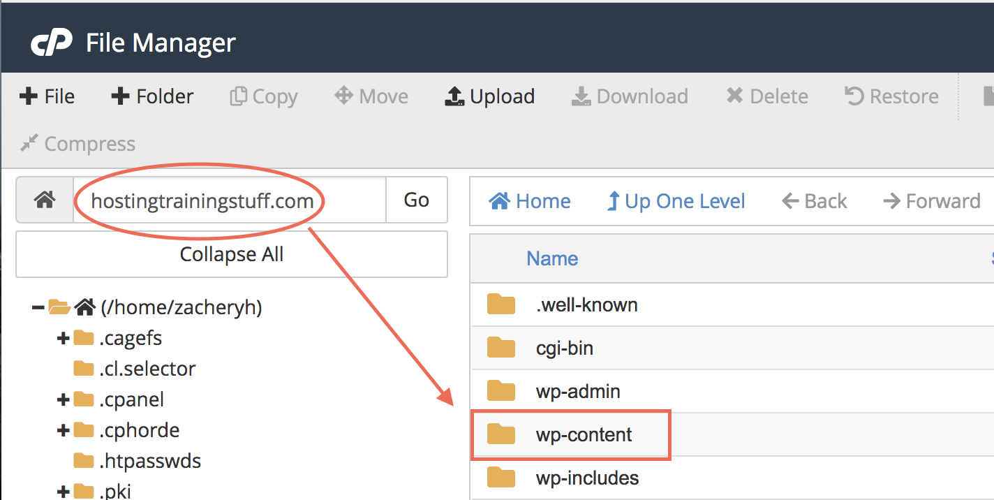 download file directly to cpanel